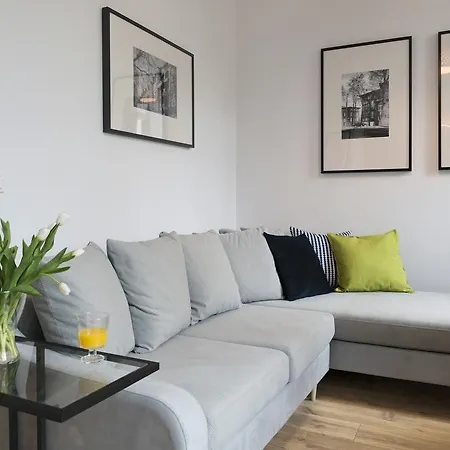 Pixelhome - Przy Palmiarni * Poznań