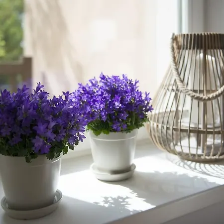 Apartament Pixelhome - Przy Palmiarni